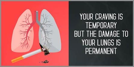 smoking damages lungs